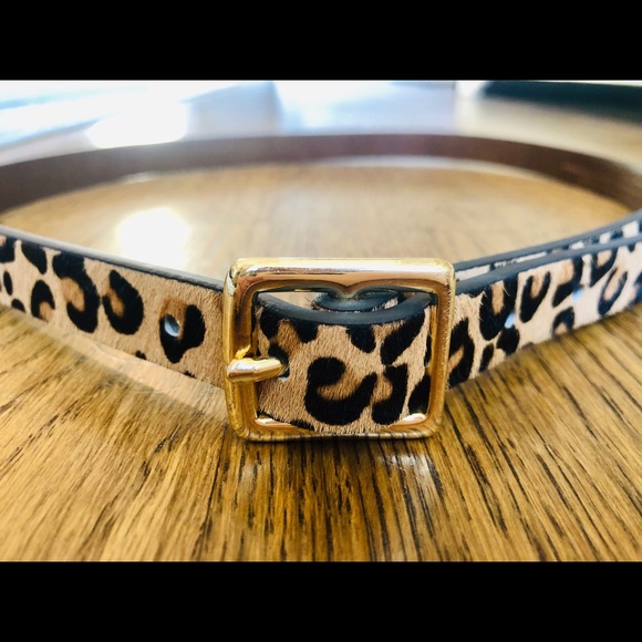Target Leopard Belt - Picture 4 of 6